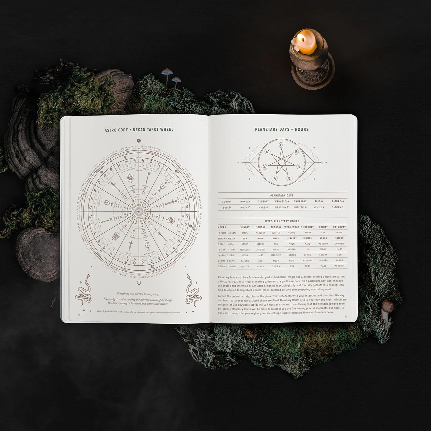 2024 Astrological Planner - Magic of I