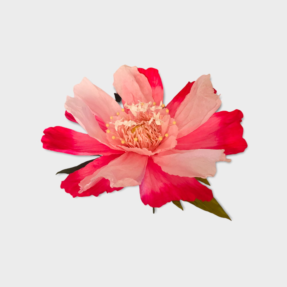 Dancing Flower XL - Pink