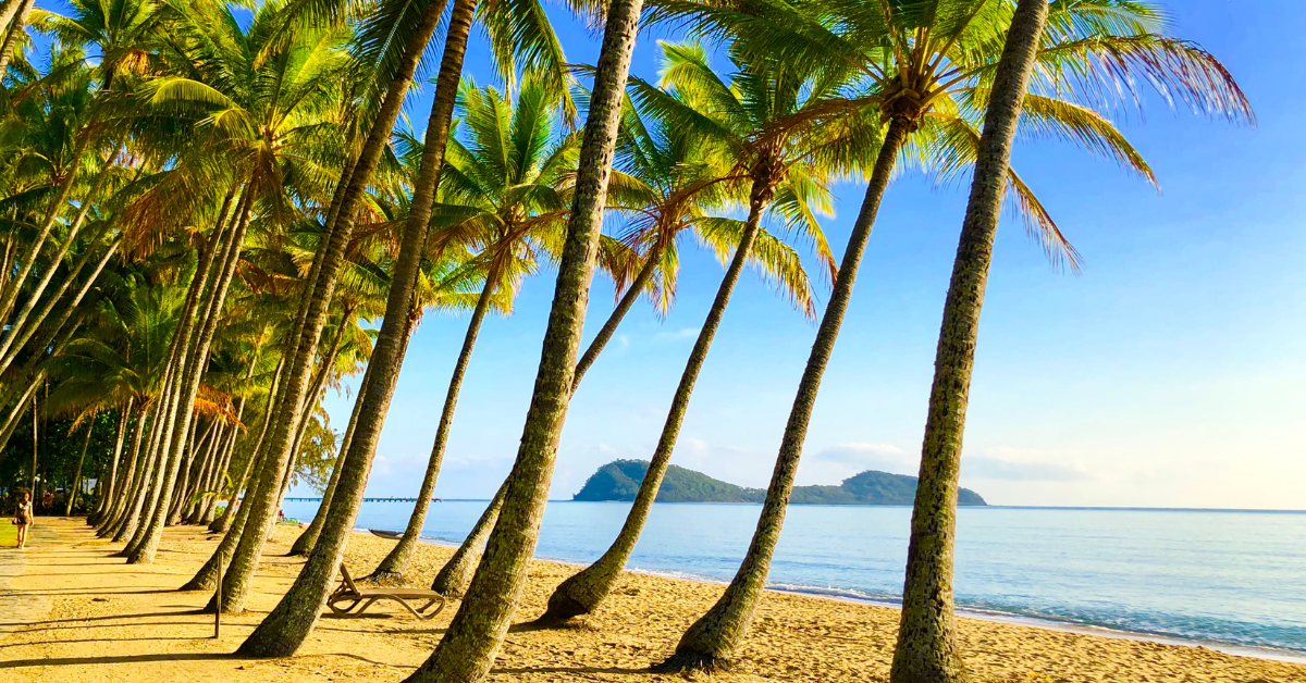 Meet Monsoon Dream – Cairns in a Candle