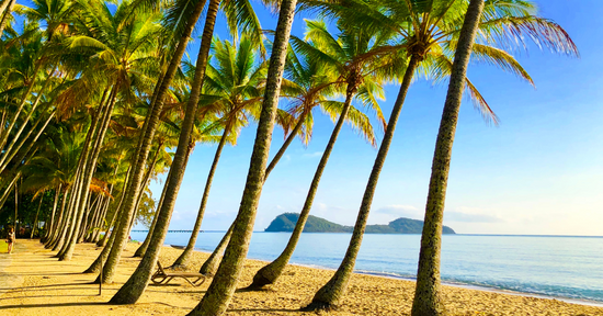 Meet Monsoon Dream – Cairns in a Candle