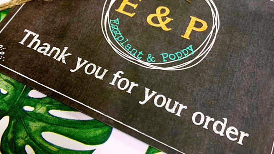 E+P Headquarters: Now On The World Wide Web