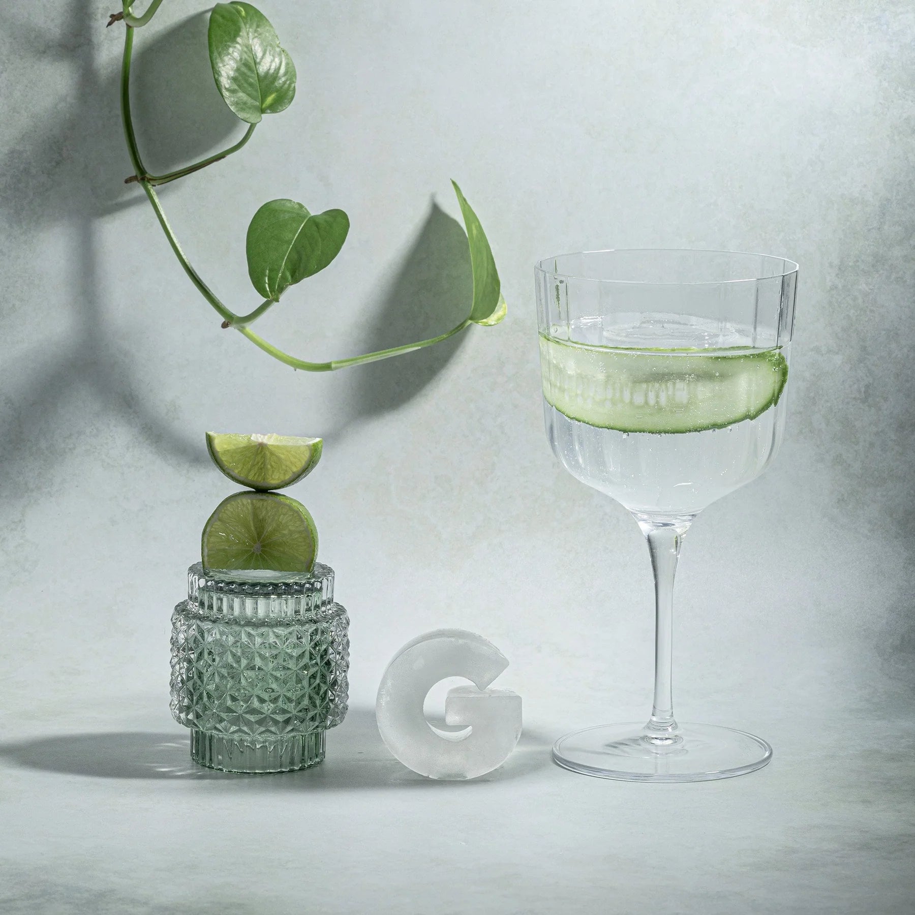 Ice Cube Tray - for gin lovers