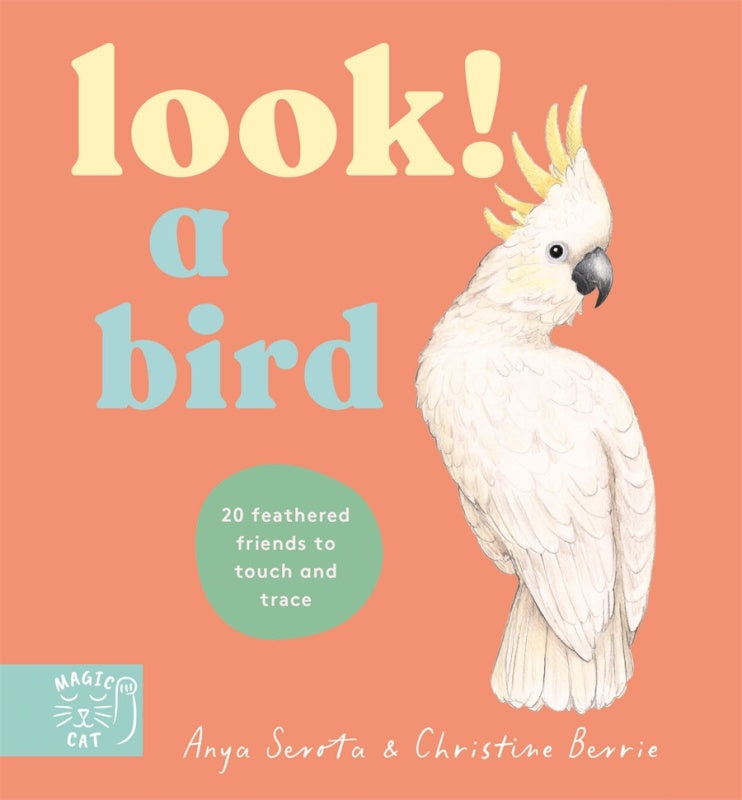 Look! A Bird!