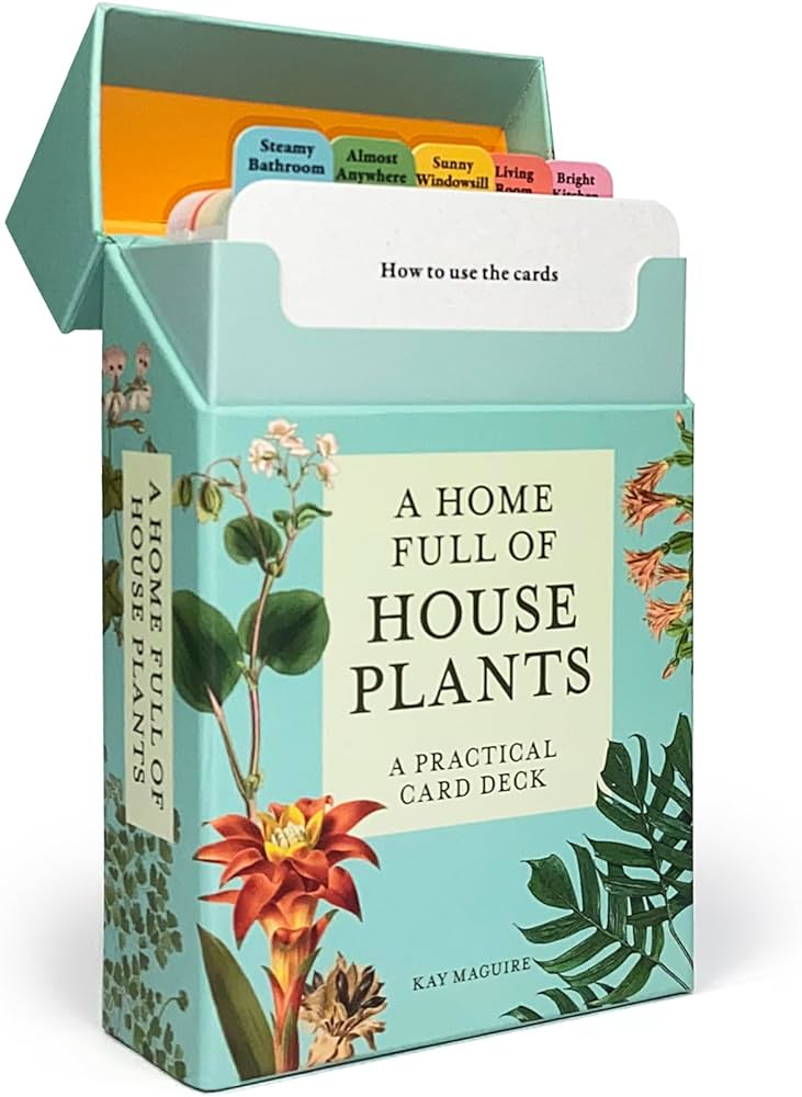 A Home Full Of House Plants