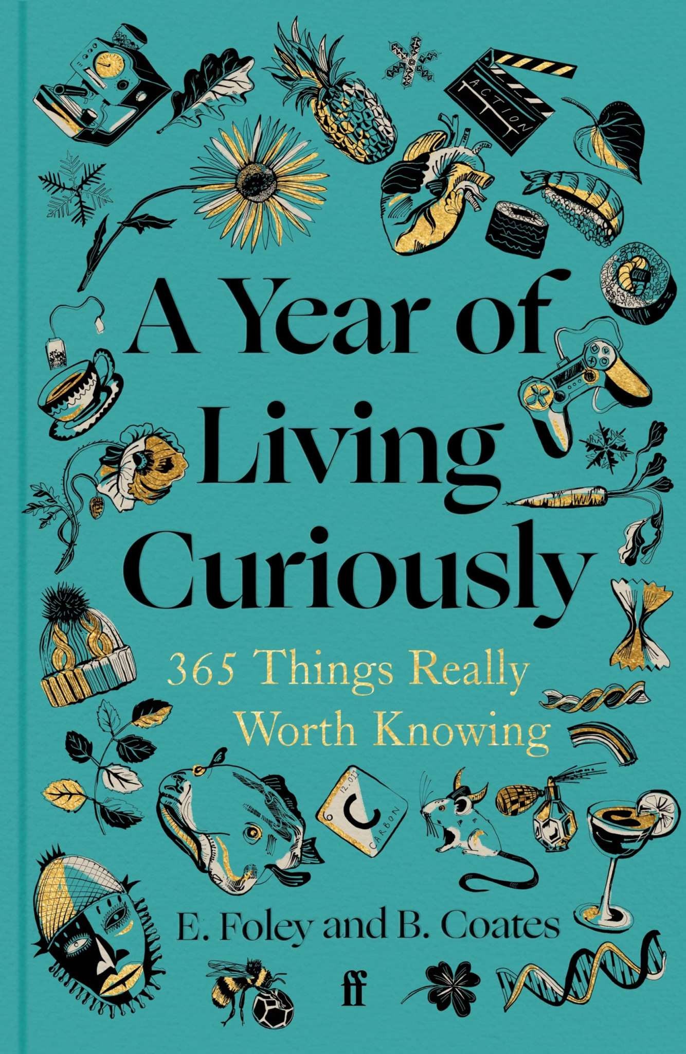 A Year Of Living Curiously
