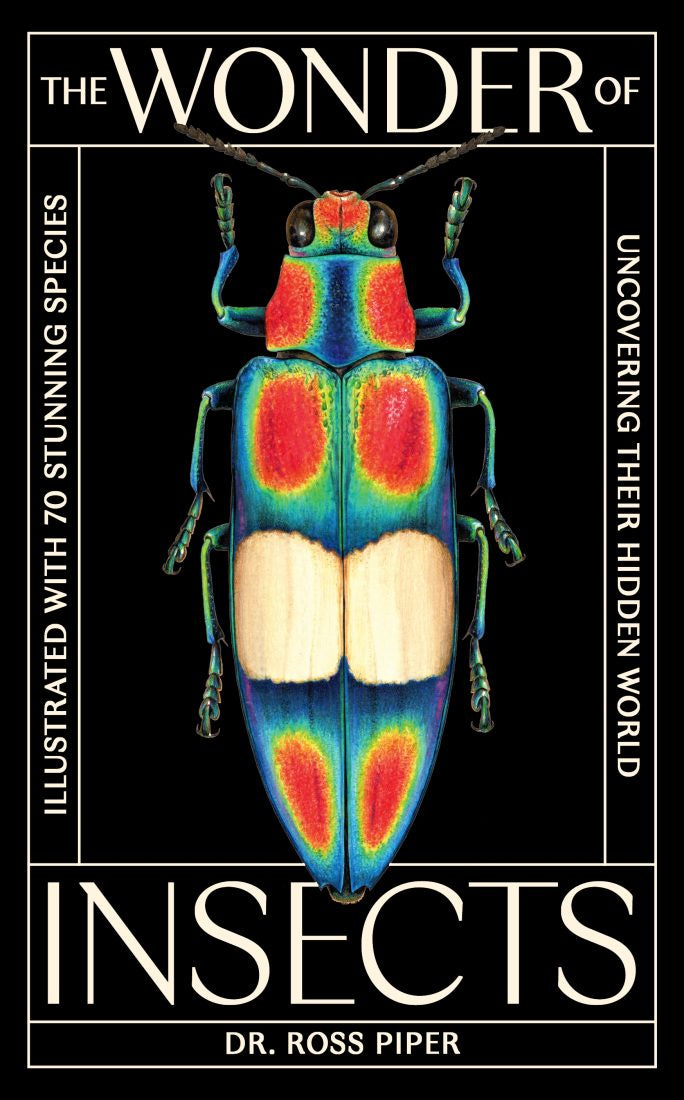 The Wonder Of Insects