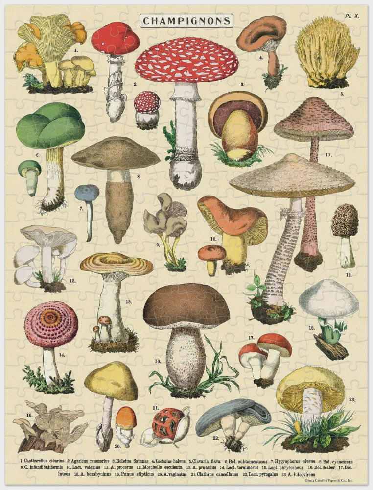 240 Pc Mini Puzzle - Mushrooms