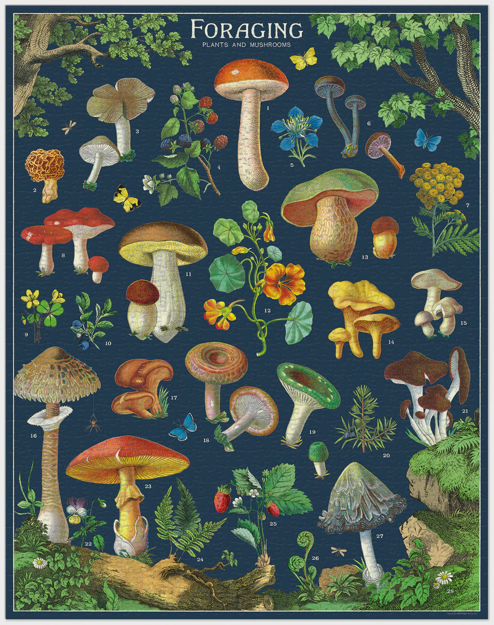 1000 Pc Puzzle - Foraging