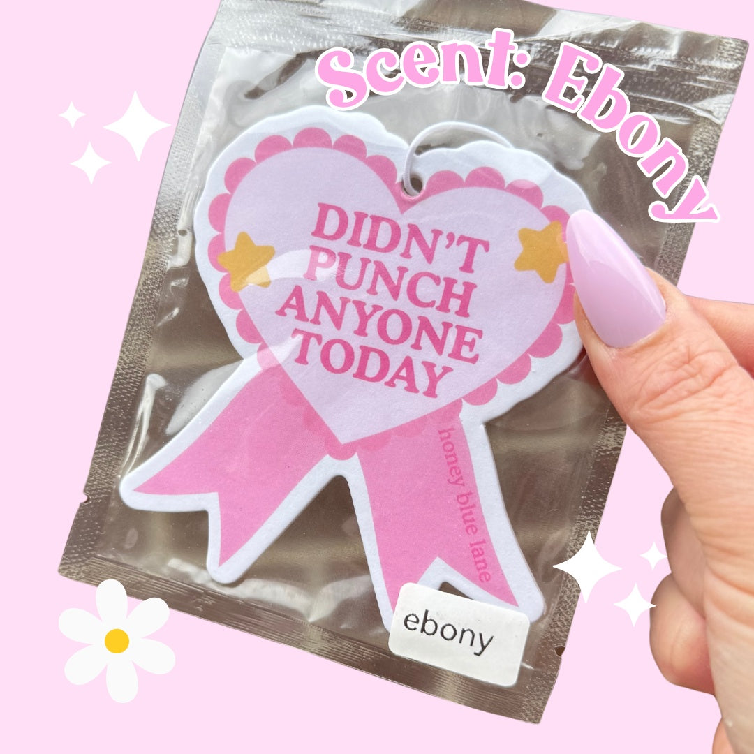 Air Freshener - Didn't Punch Anyone