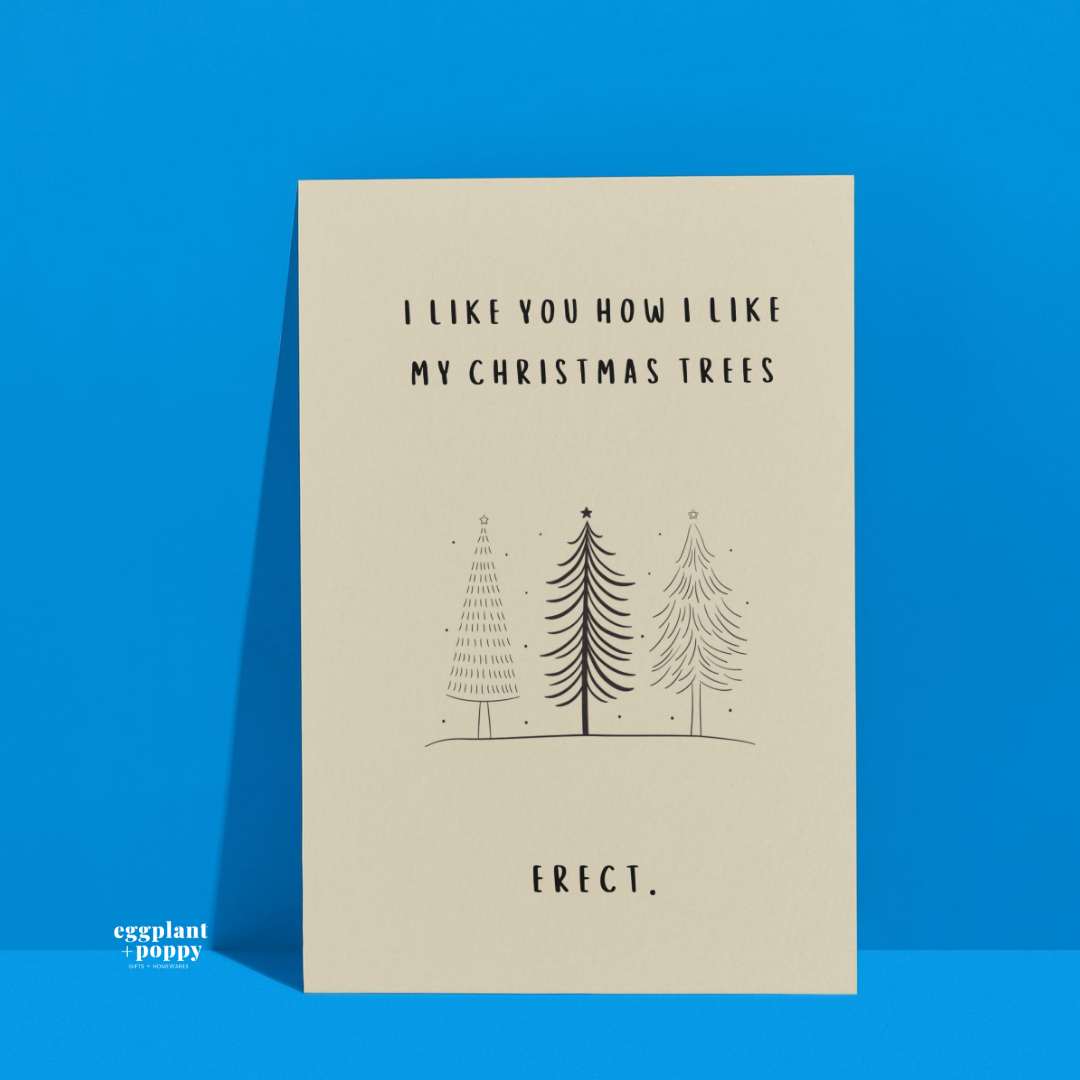 Card - Christmas/Rude