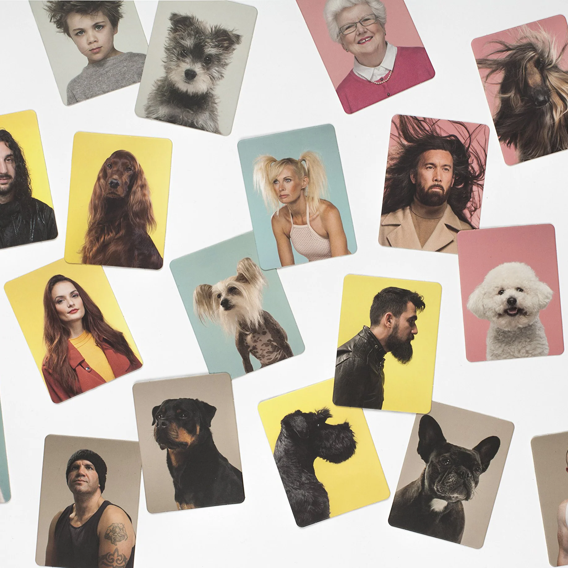 Do You Look Like Your Dog: A Memory Game