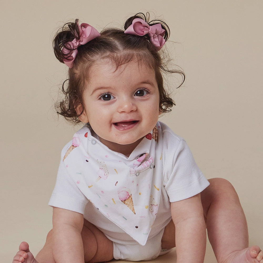Ice Creams Dribble Bib