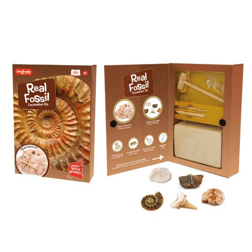 Fossil Dig Kit