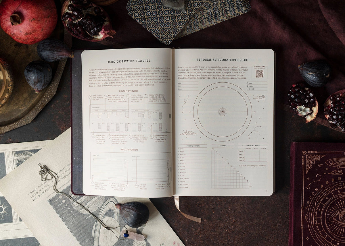 Magic of I - 2027 Astrological Planner - Pomegranate