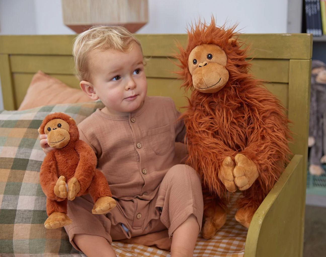 The Orangutans