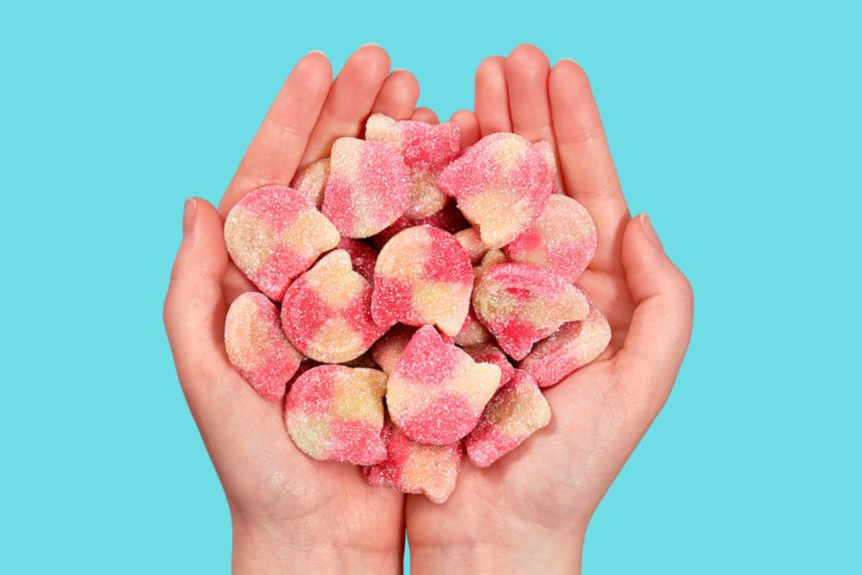 Candy Kittens - Wild Strawberry