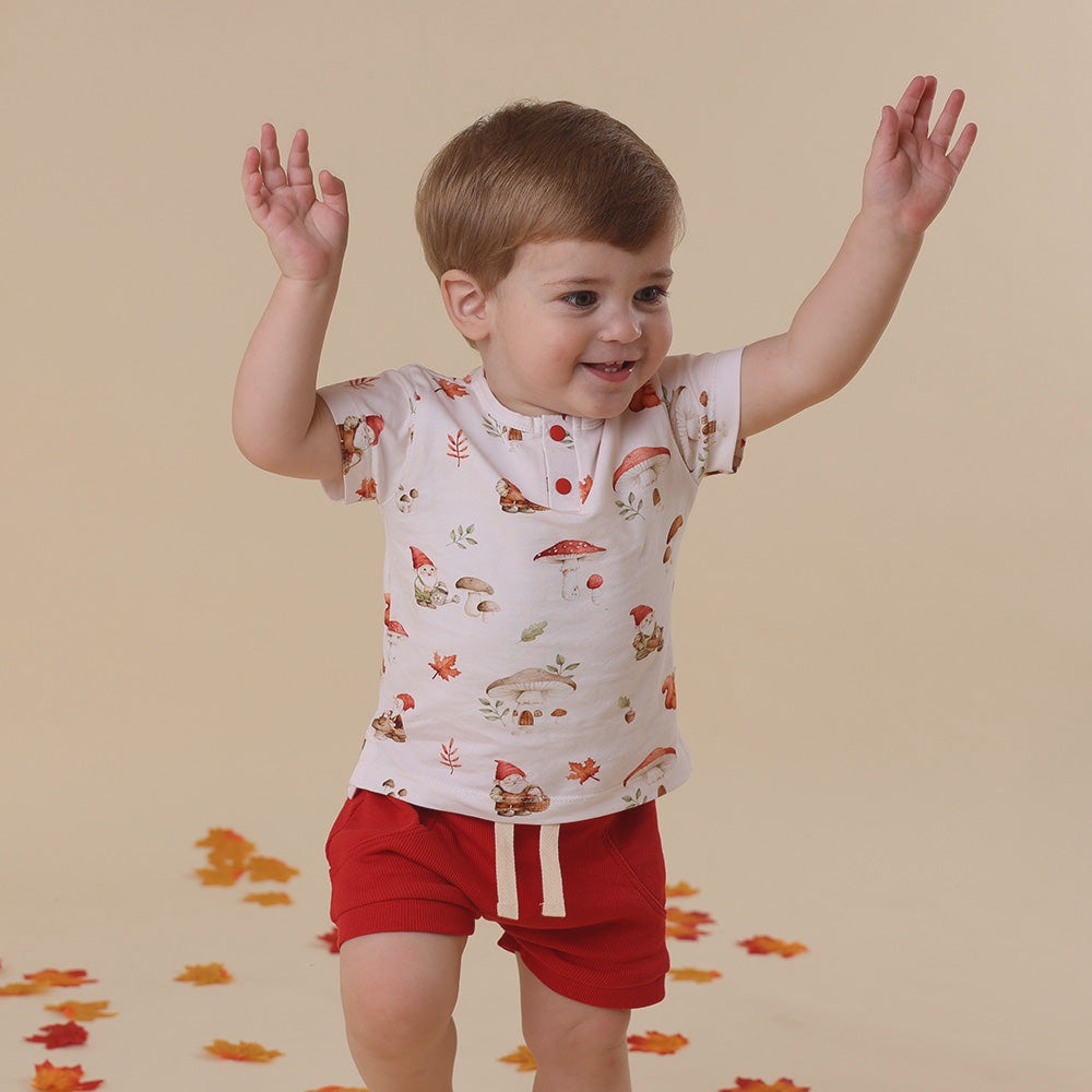 Short Sleeve Top - Gnomes