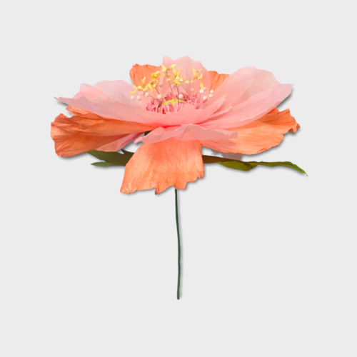 Dancing Flower XL - Apricot
