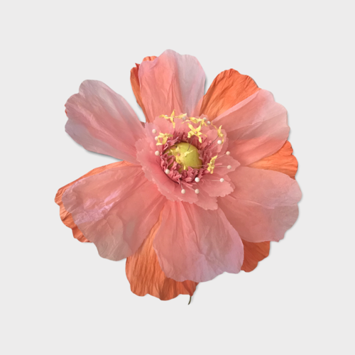 Dancing Flower XL - Apricot