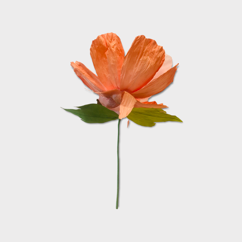 Dancing Flower XL - Apricot