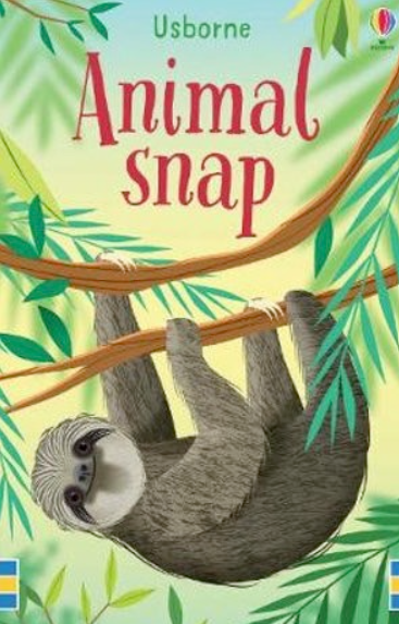 Animal Snap Cards