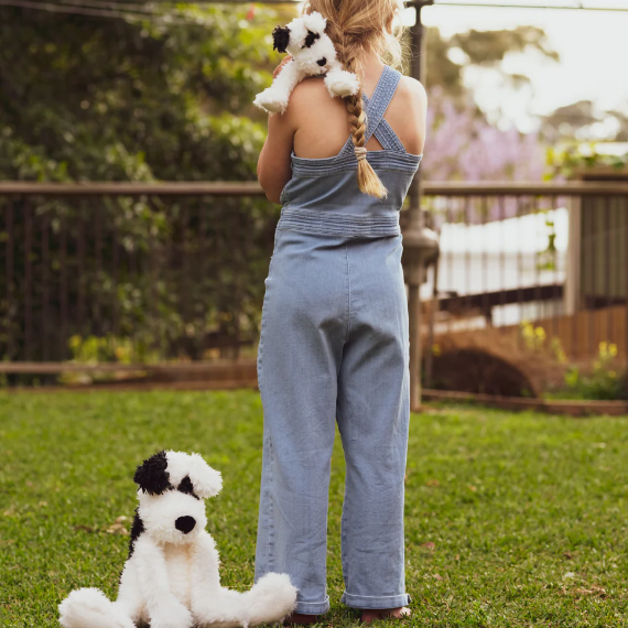 Boots the Dog