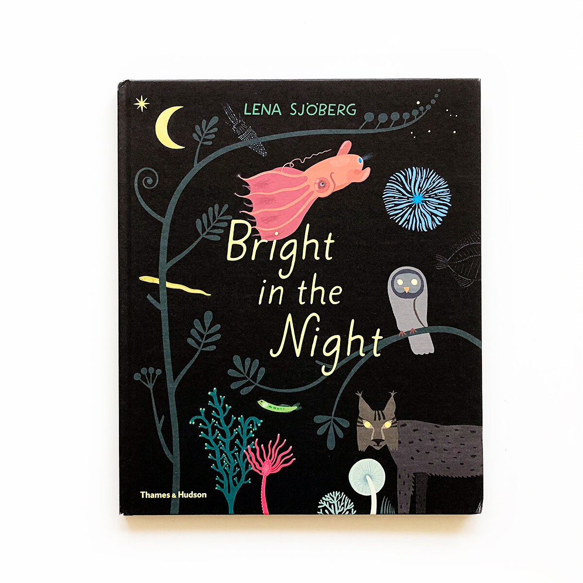 Bright In The Night