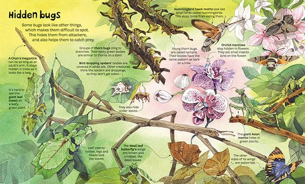 The Big Book Of Bugs