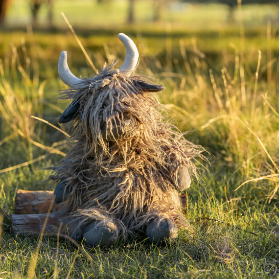 Henry the Highland Cow - Charcoal