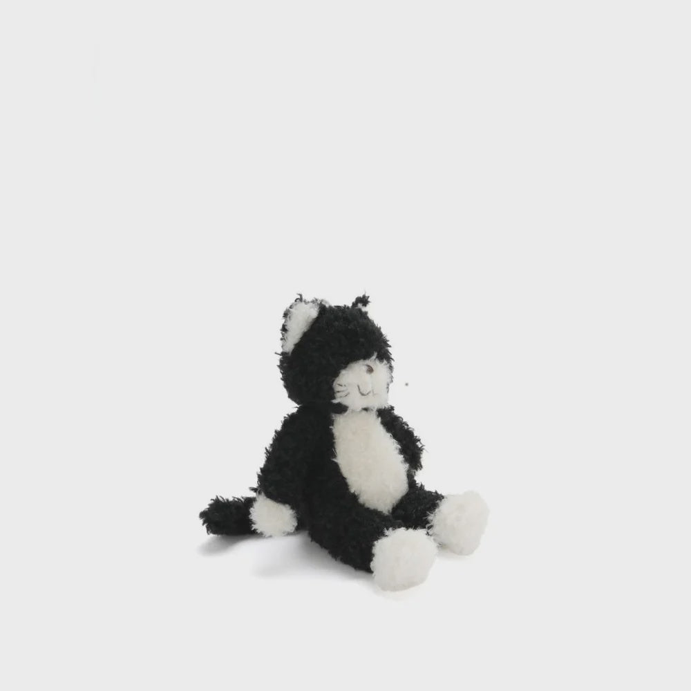Poppy Checkers Checkers the Kitten (Black) – Eggplant & Poppy ~ Unique + Quirky Gifts