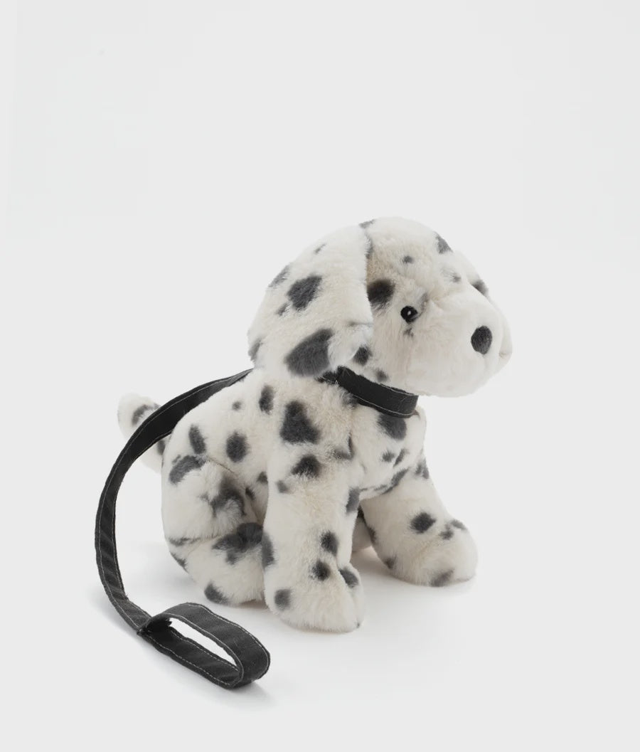 Debbie the Dalmation