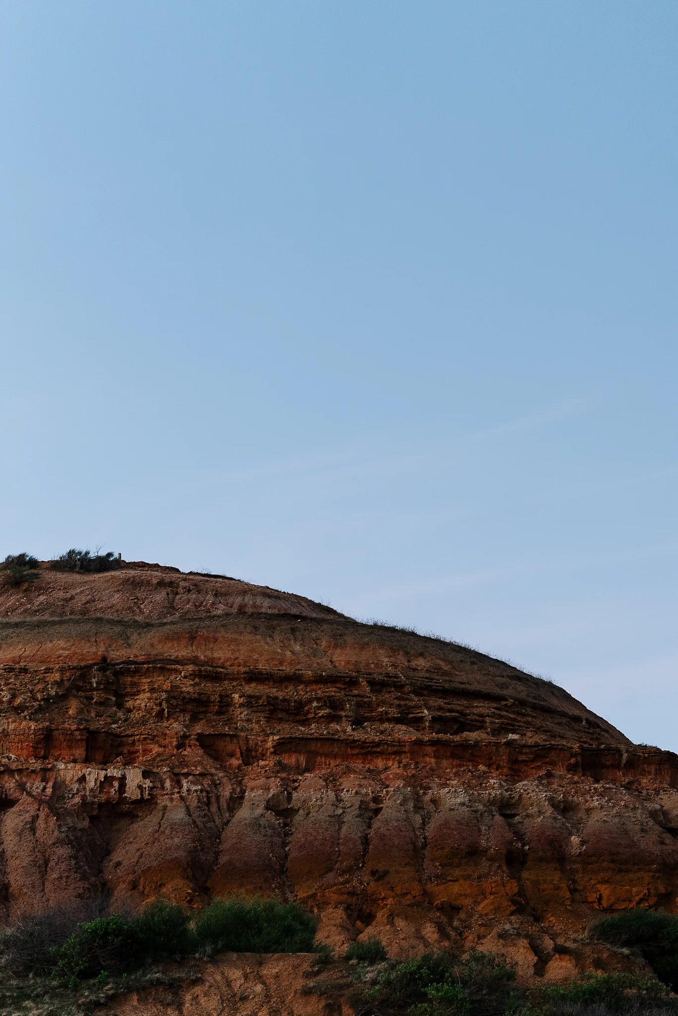 Larapinta in Sandalwood Reed Diffuser