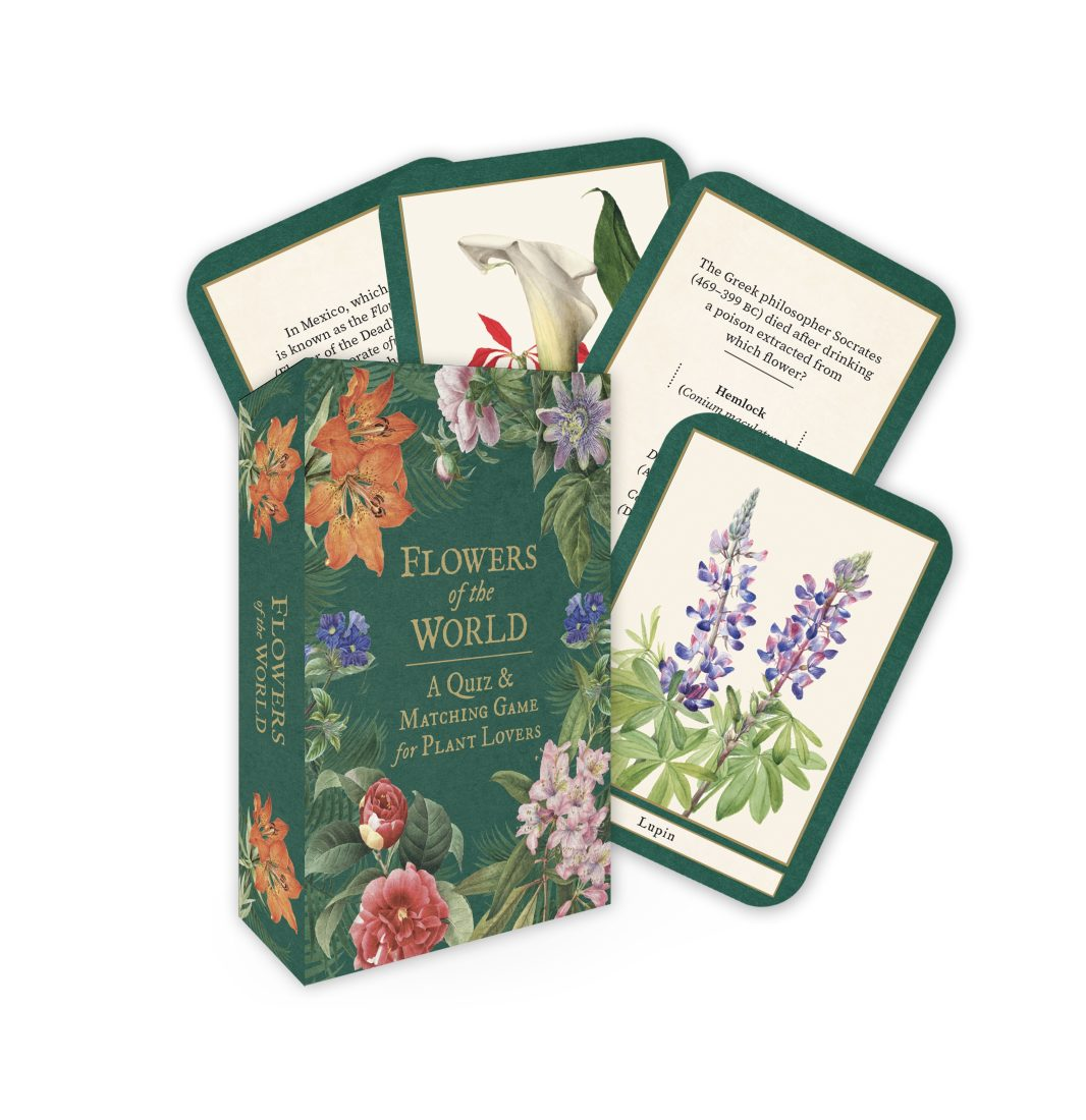 Flowers Oracle Decks – Eggplant & Poppy ~ Unique + Quirky Gifts
