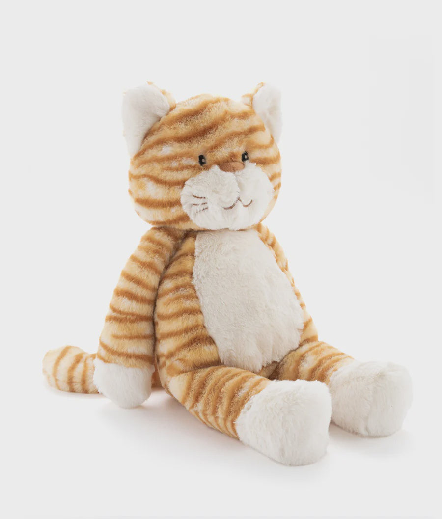 Ginger the Cat