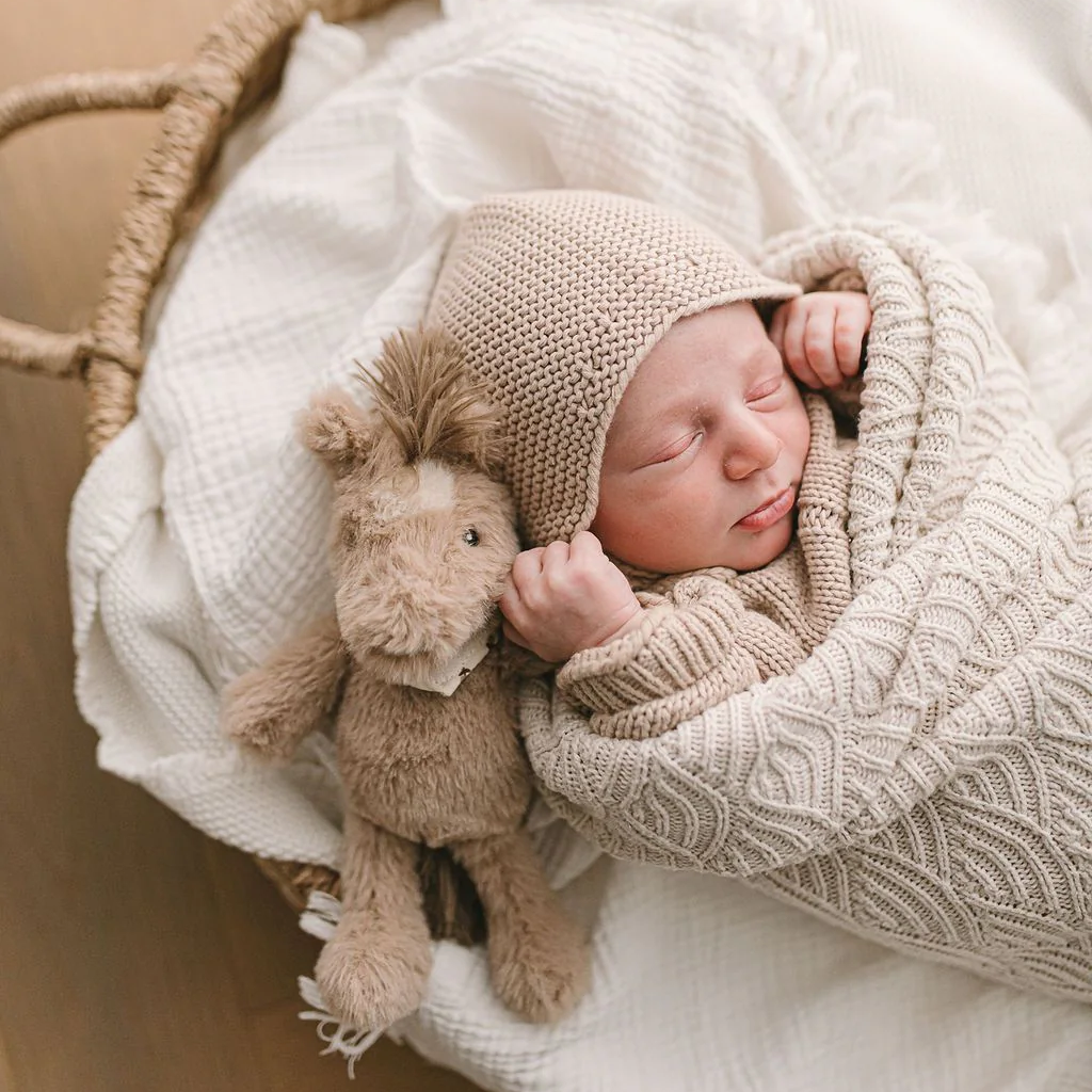 Harvey The Horse Rattle