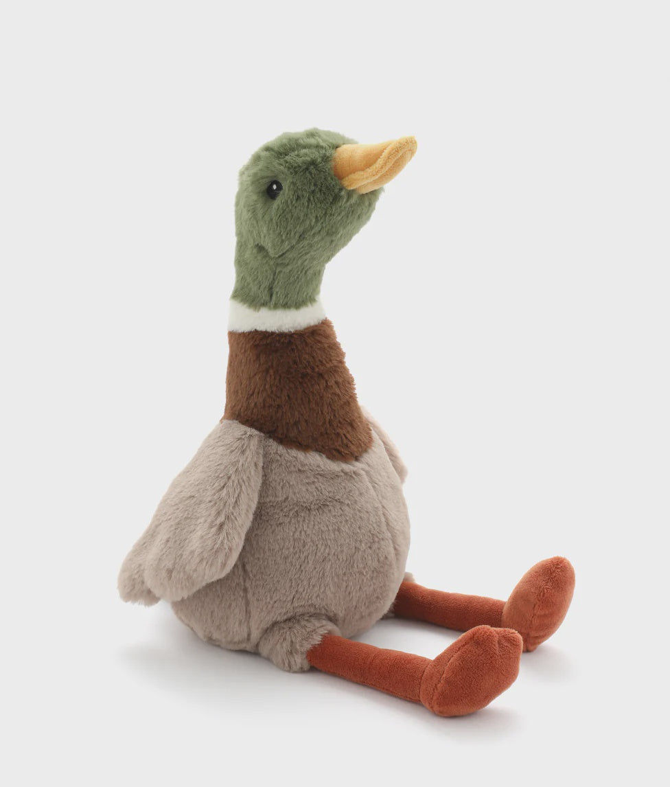 Hugo the Mallard Duck