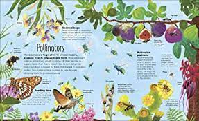 The Big Book Of Bugs