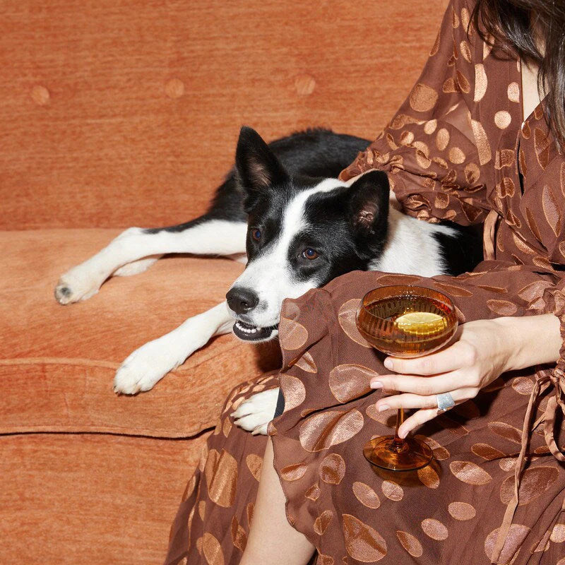 The Lou Coupe Glass - Amber (Set of 2)