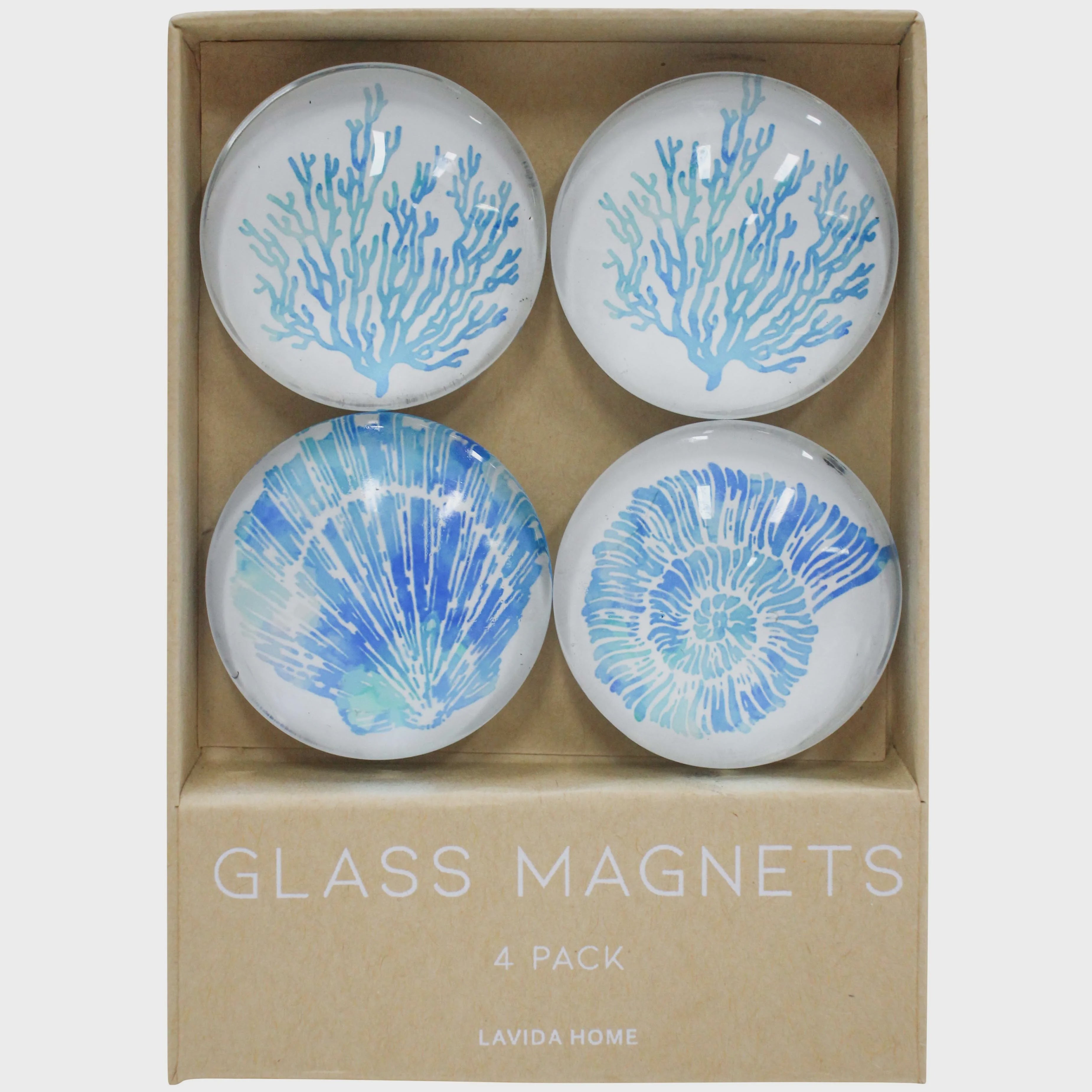 Large Glass Magnets - Coral Shell (set of 4)