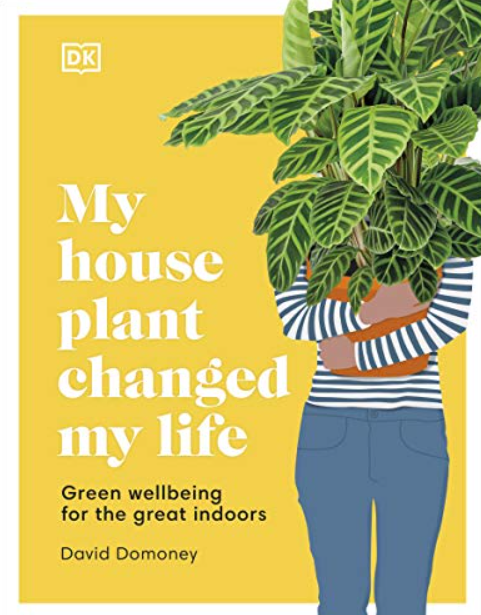 My House Plant Changed My Life
