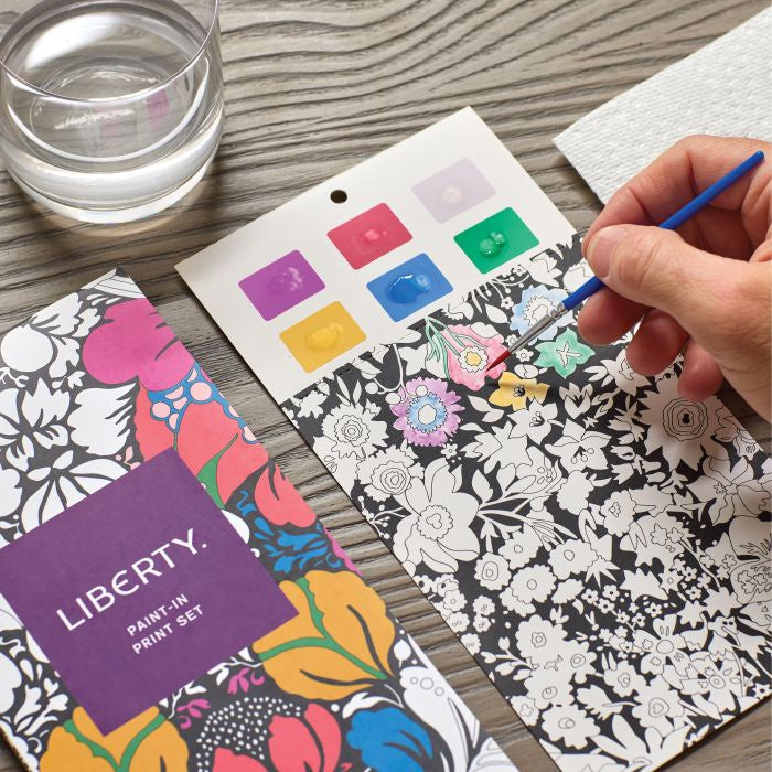 Paint-In Print Set
