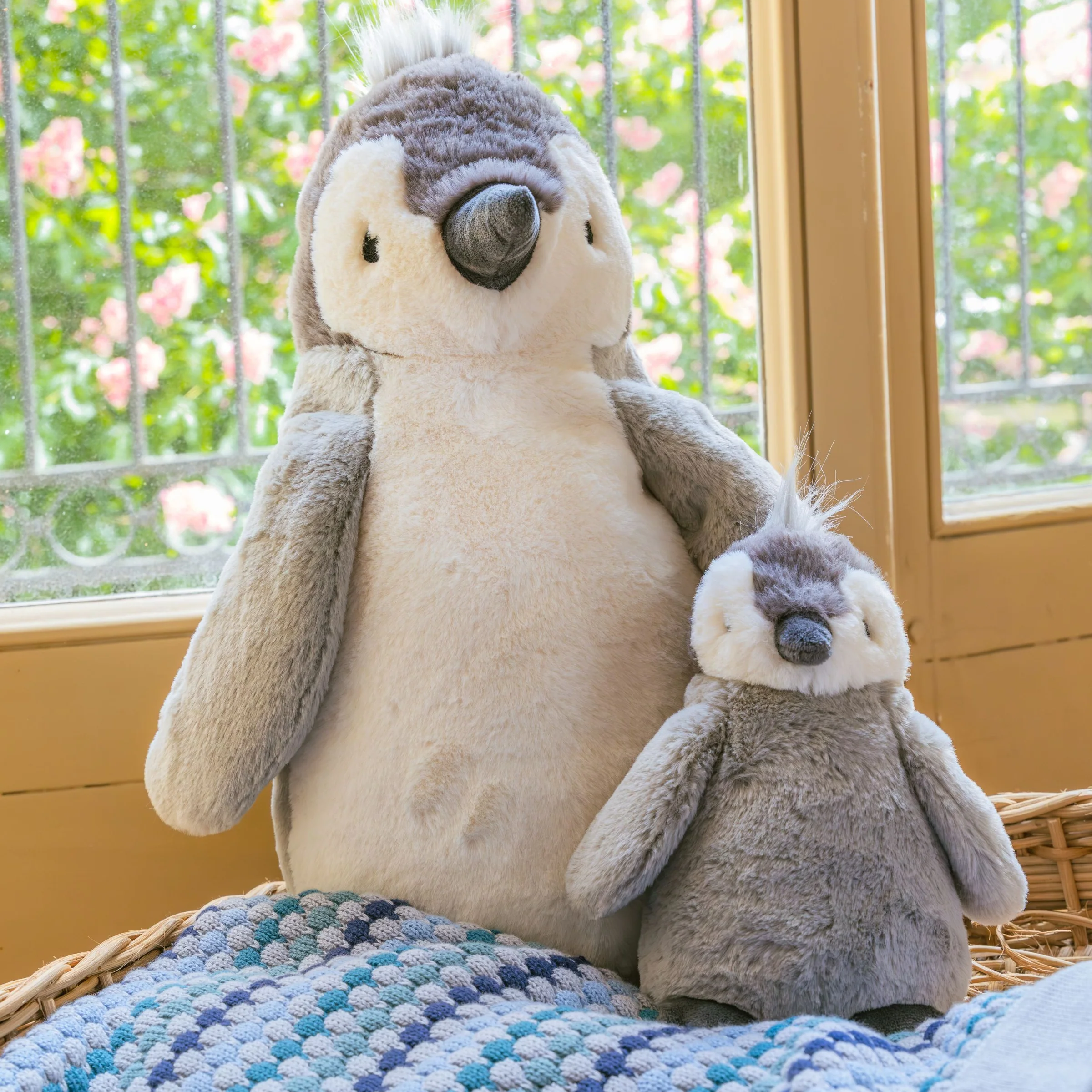 Paulo The Penguin