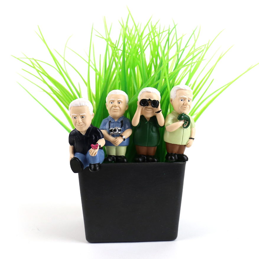 Pot Plant Attenborough Explorers