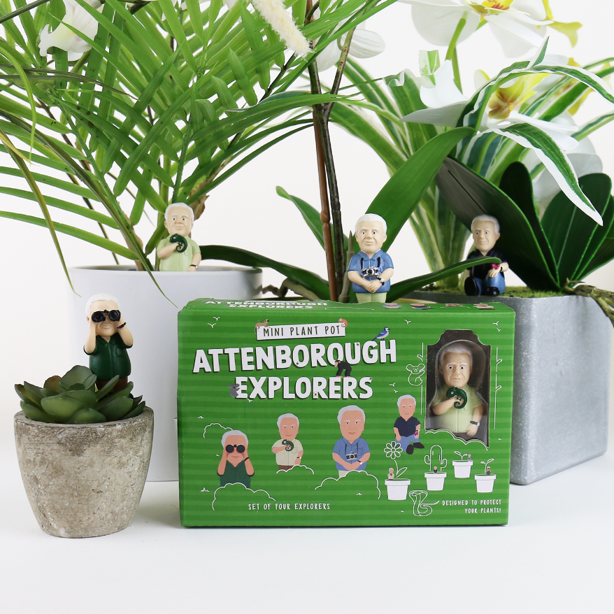 Pot Plant Attenborough Explorers
