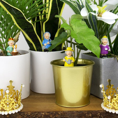 Royal Planters