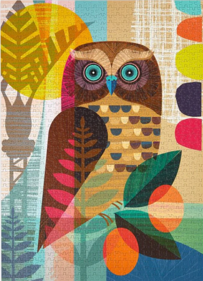 1000pc Puzzle - Ruru Owl