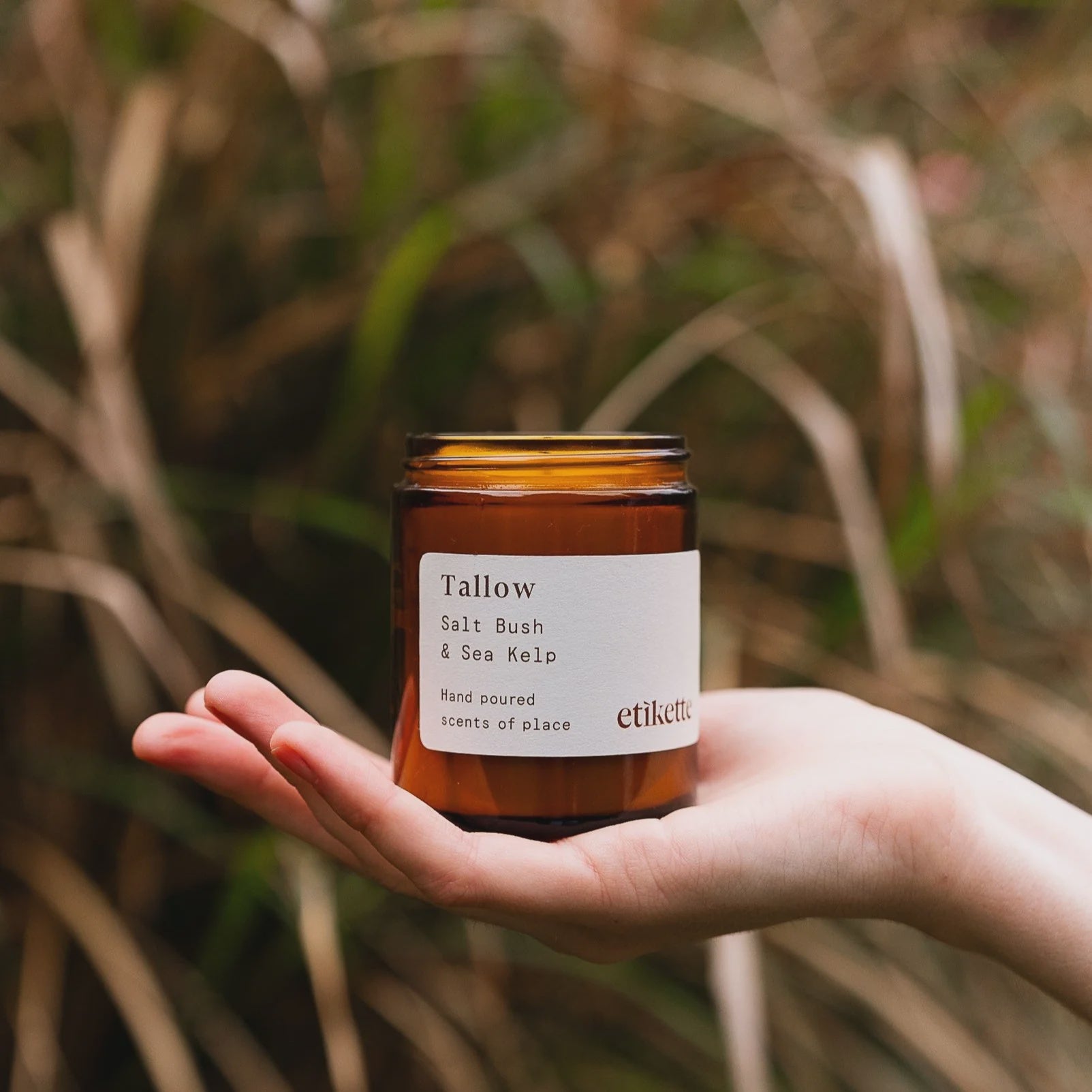 Tallows in Salt Bush Candle