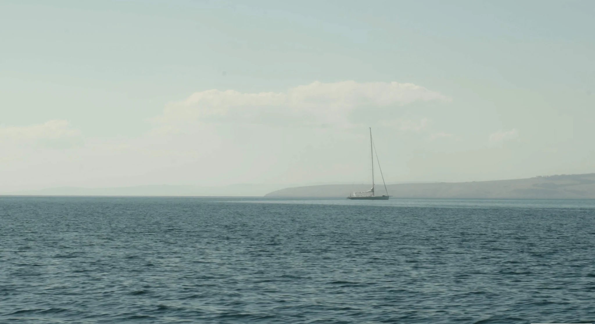 Tallows in Salt Bush Candle