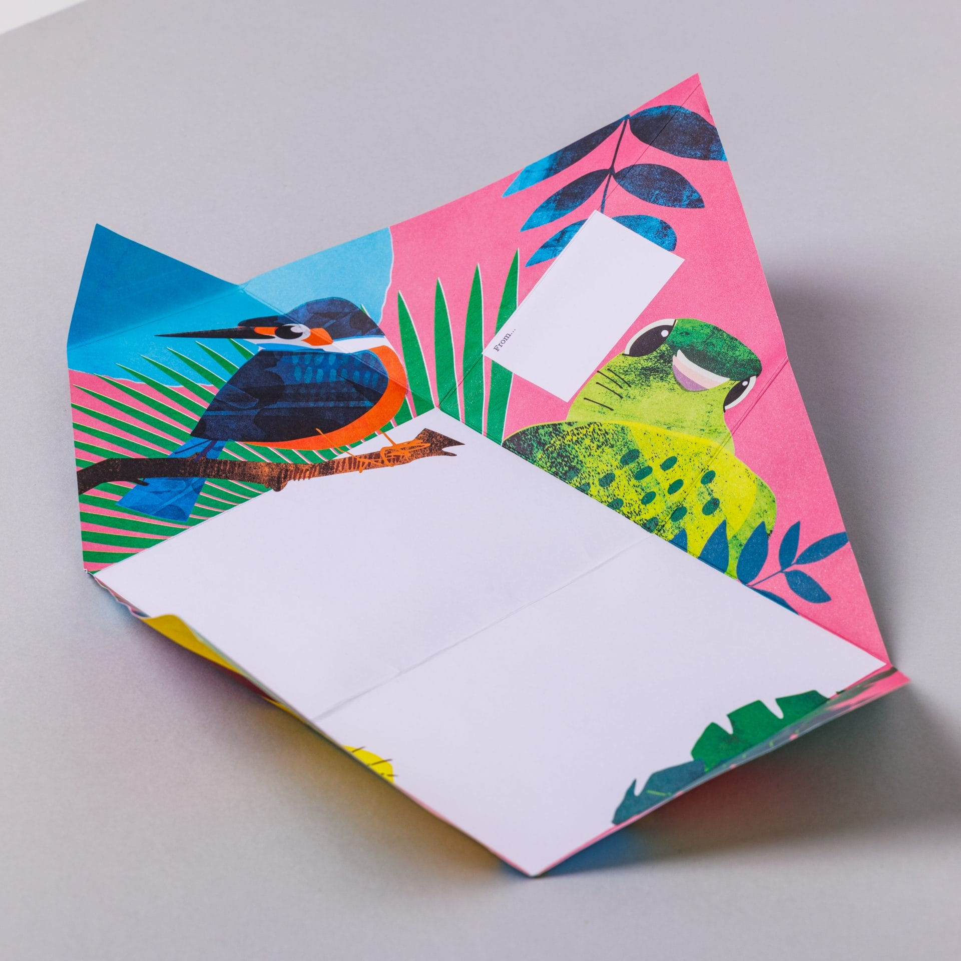 Folding Stationery Letter Pack - Wild Lives