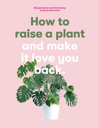 How To Raise A Plant & Make It Love You Back